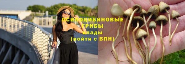 ГАЛЛЮЦИНОГЕННЫЕ ГРИБЫ Вяземский