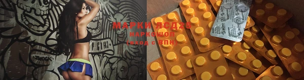 ГАЛЛЮЦИНОГЕННЫЕ ГРИБЫ Вяземский