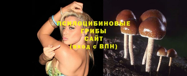 ГАЛЛЮЦИНОГЕННЫЕ ГРИБЫ Вяземский