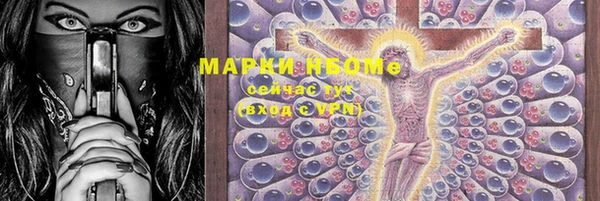 ГАЛЛЮЦИНОГЕННЫЕ ГРИБЫ Вяземский