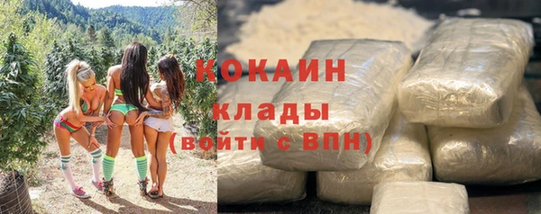 ГАЛЛЮЦИНОГЕННЫЕ ГРИБЫ Вяземский