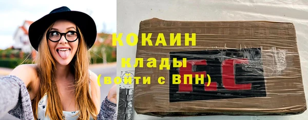 ГАЛЛЮЦИНОГЕННЫЕ ГРИБЫ Вяземский