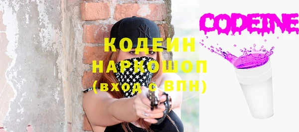 ГАЛЛЮЦИНОГЕННЫЕ ГРИБЫ Вяземский
